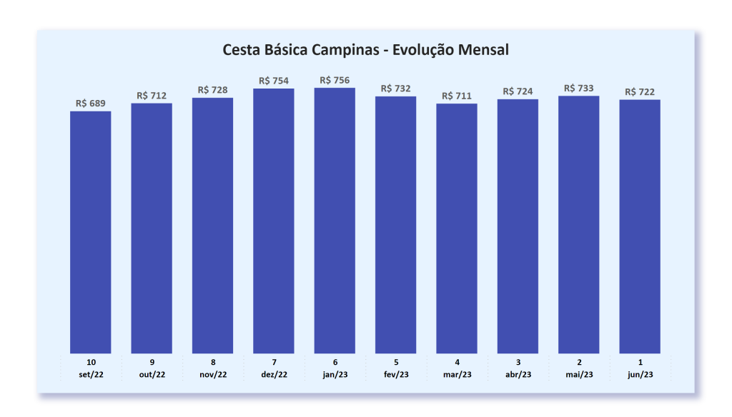 This slide contains the following visuals: Cesta Básica Campinas - Evolução Mensal. Please refer to the notes on this slide for details